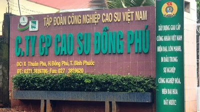 Công ty CP Cao su Đồng Phú