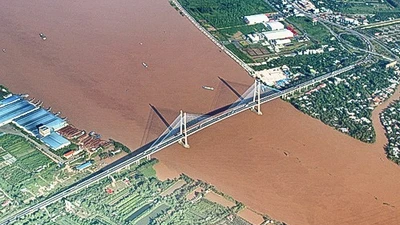 Ảnh chỉ mang tính chất minh họa.