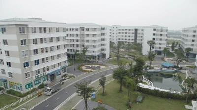 Ảnh minh họa.