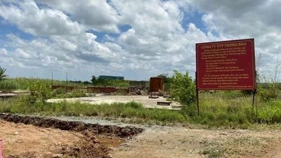Khu công nghiệp liên tỉnh hình thành sau sáp nhập hứa hẹn tạo đột phá trong thu hút FDI và phát triển chuỗi cung ứng. Ảnh: PLO