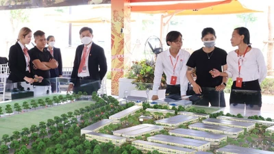 Nhà đầu tư quan tâm đến phân khúc đất nền vùng ven TP HCM sau khi sáp nhập