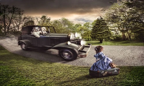 Đẹp tuyệt mỹ thế giới yên bình của thú cưng mơ mộng