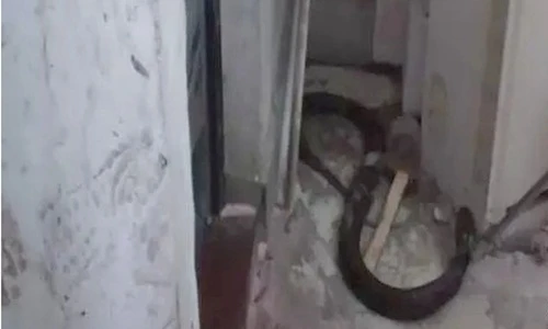 Suýt ngất xỉu bắt gặp rắn hổ mang chúa trong nhà vệ sinh 