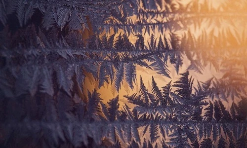 Choáng ngợp tuyệt tác băng trên mặt kính chỉ xảy ra khi trời lạnh 