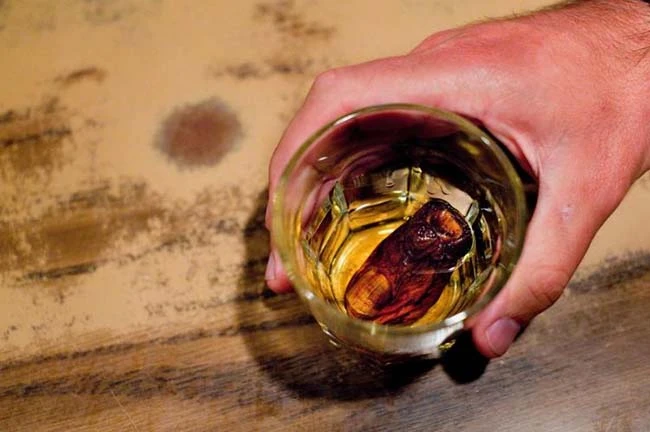 Loại rượu kinh dị, bổ mấy cũng không dám uống