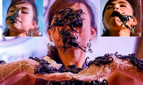 Hãi hùng cảnh cô gái để bọ cạp bò khắp cơ thể