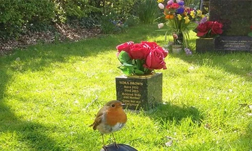 Đến thăm mộ con trai, mẹ rơi nước mắt khi thấy điều kỳ diệu