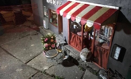 Kỳ dị cửa hàng sang chảnh chỉ bán đồ riêng cho chuột