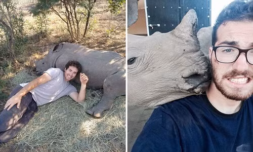 Xúc động tình bạn tê giác mồ côi và người chăm sóc