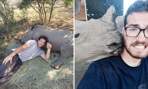 Xúc động tình bạn tê giác mồ côi và người chăm sóc