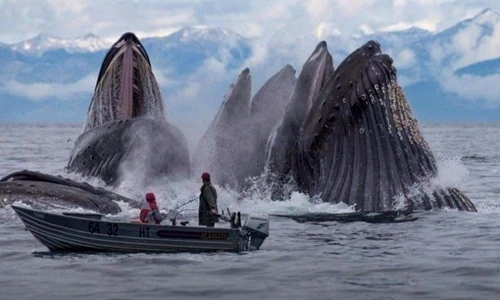 Choáng váng những hình ảnh trùng hợp hoàn hảo đến khó tin