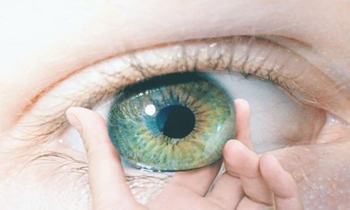 "Điên đầu" bóc mẽ ảnh ấn tượng "bẻ cong tâm trí" người xem 