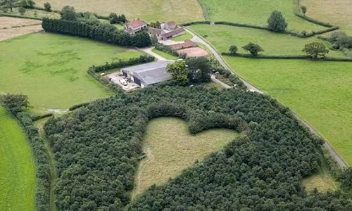 Trồng 6.000 cây xanh khi vợ mất, bí mật ngọt ngào là đây