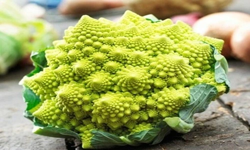 Tận mắt cây súp lơ “ngoài hành tinh” độc lạ