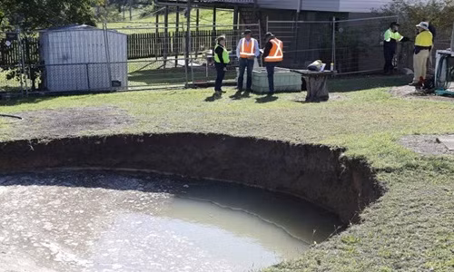 Ngủ dậy, thấy sân sau xuất hiện điều kỳ lạ... chuyên gia cũng sốc