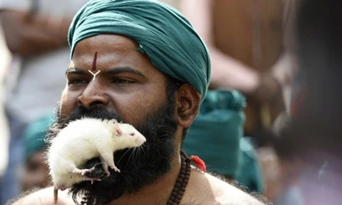 Những hình ảnh rùng mình có thật chỉ có tại Ấn Độ