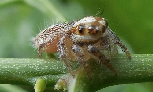 Khám phá sốc về cuộc sống quanh ta ai cũng không ngờ (2)