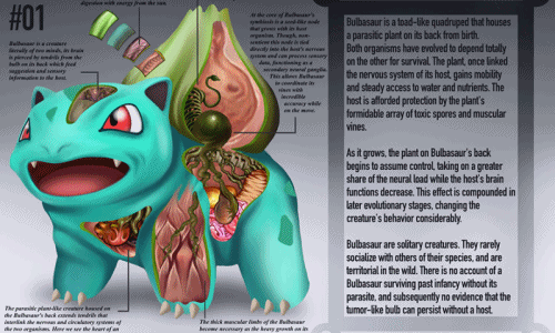 Giải phẫu những Pokemon phổ biến nhất