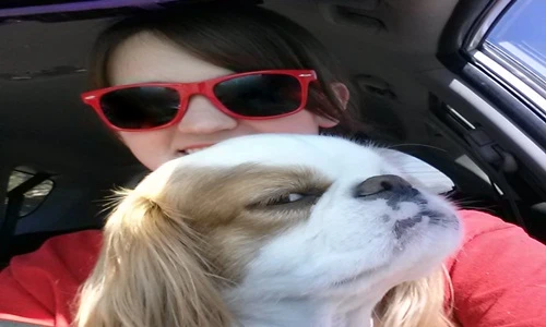 Những gương mặt chó tỏ vẻ “nguy hiểm” nhất thế giới