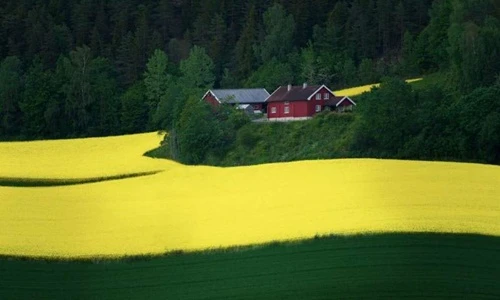 Những bức ảnh khiến bạn nhìn hơn hai lần vẫn không tin chính mình (2)