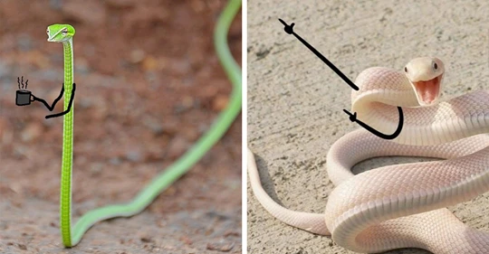 Chỉ vài nét, rắn cực độc trở nên đáng yêu không ngờ