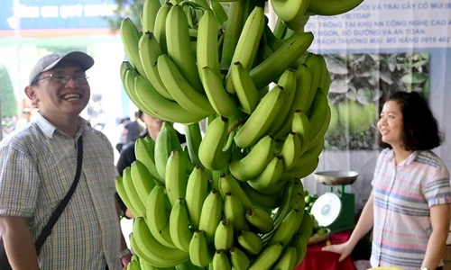 Chuối khổng lồ, cá cảnh lạ tại hội chợ nông nghiệp Sài Gòn