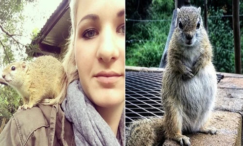 Định mệnh của cô sóc gặp nạn và ân nhân xinh đẹp 