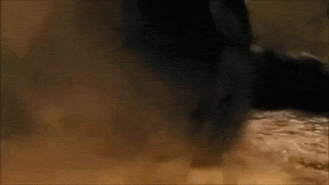 Ám ảnh kinh hoàng cá sấu "quái vật" giết, ăn thịt 300 người