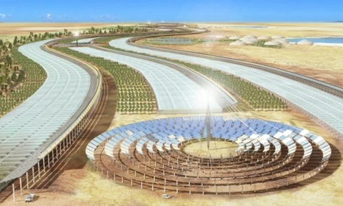 Choáng ngợp với sa mạc Sahara đầy thực phẩm sạch