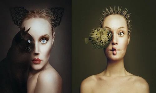 Nghệ thuật độc đáo kết hợp mắt người và vật