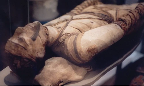 Những sự thật lạ lùng về xác ướp khiến bạn bật ngửa