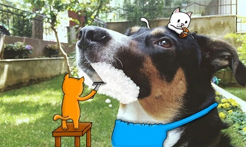 Những hình ảnh sáng tạo kết hợp siêu độc đáo, vui nhộn