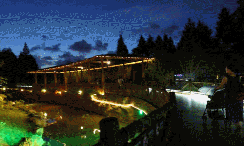 Kỳ quặc sở thú chỉ hoạt động về đêm gây tranh cãi