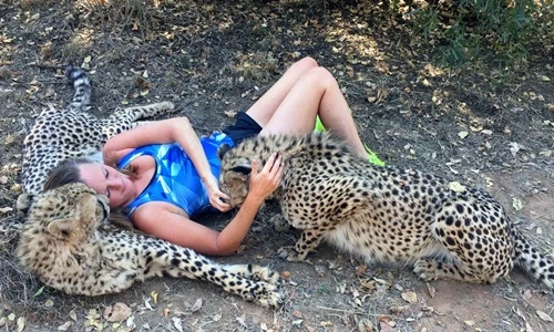 Chuyện lạ hôm nay: Người phụ nữ ăn ngủ được với báo hoang