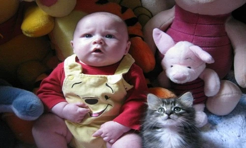 Loạt ảnh thú cưng bắt chước chủ nhân siêu đáng yêu