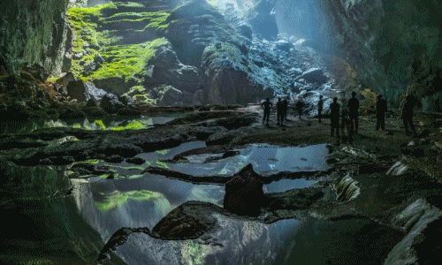 Top ảnh thiên nhiên, động vật ngoạn mục nhất 2017