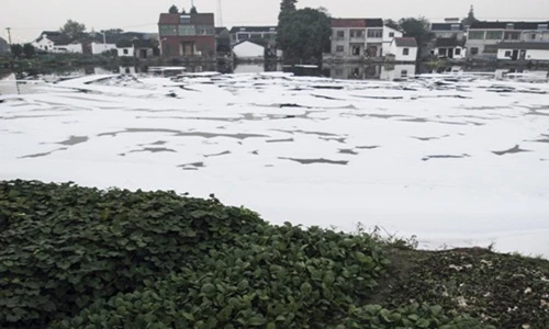 Rùng mình sông sủi bọt trắng xóa một cách bí ẩn