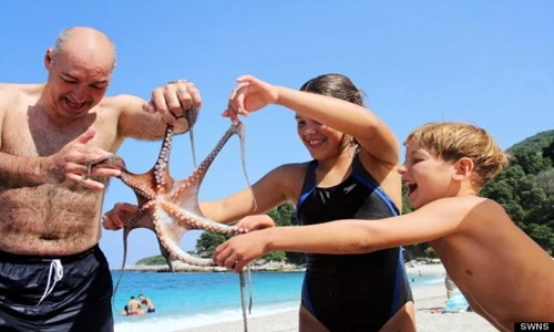 Những động vật đột biến kỳ dị khiến con người run sợ