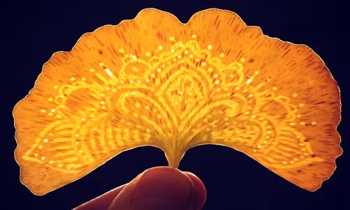 Nghệ thuật biến lá cây thành tác phẩm tạo hình cực sáng tạo