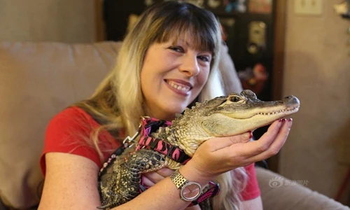 Cực dị thú vui may quần áo, sơn móng tay cho cá sấu