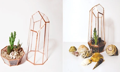 Tự làm nhà kính mini cực cool siêu đơn giản