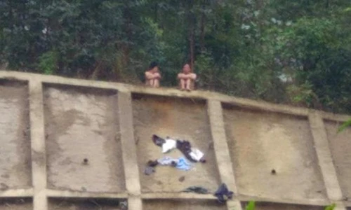 Buồn vì con trai "ế", bố mẹ cởi quần áo đòi tự tử