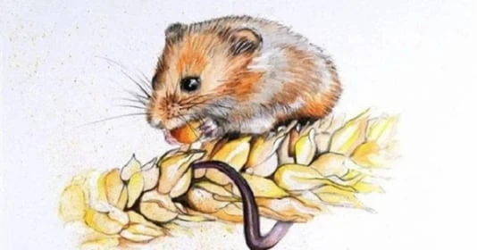 Đúng ngày Rằm tháng 3 âm, 4 con giáp tiền quấn quanh thân, giàu to