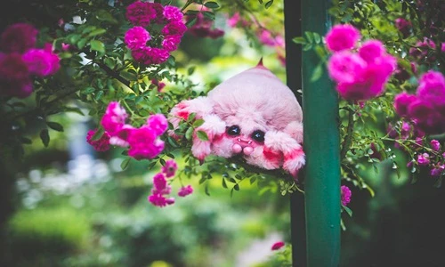 Đẹp tuyệt mỹ những sinh vật chỉ có trong tưởng tượng