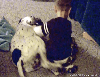 Khi động vật khó tính nhất trái đất