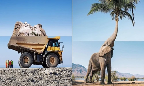 Ảnh kết hợp ngoạn mục đánh lừa thị giác đến bạn cũng sẽ bị lừa