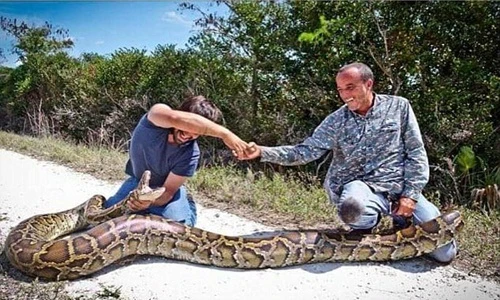 Thêm hình ảnh săn giết trăn khổng lồ gây choáng
