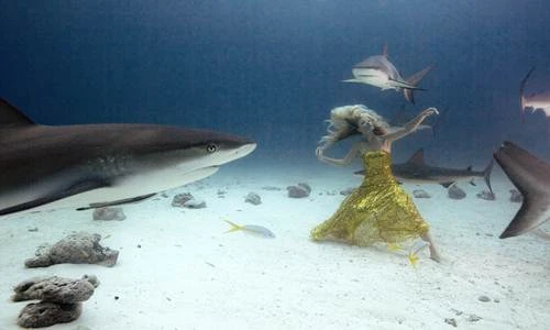 Gái đẹp khiêu vũ điêu luyện cùng sát thủ đại dương