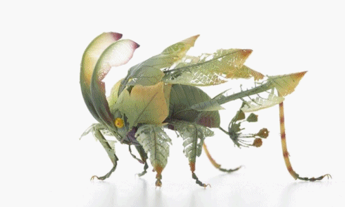 Ảnh đẹp vi diệu những côn trùng cổ tích từ xứ sở hoa