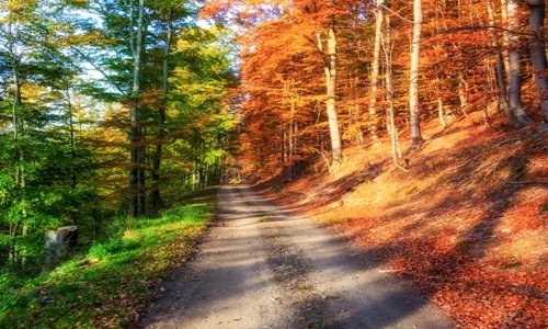 Loạt ảnh khiến bạn ngờ vực chính cả đôi mắt mình